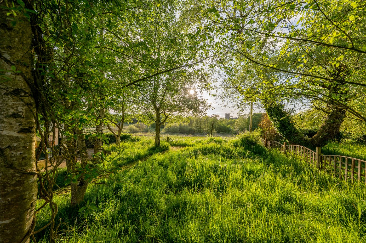 Garden Views